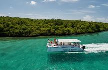 Private Power Catamaran trip from Pointe Jerome 