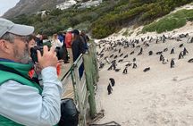 Table Mountain Boulder's Beach and Cape Point