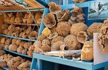 Luxury Transfer and 3 Island Cruise from Kos