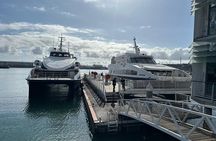 Full Day Tour Robben Island, Penguin , and Cape of Good Hope