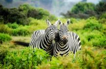 Nairobi National Park Safari