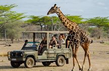 2 Day Nyerere National Park Wildlife Safari from Zanzibar