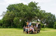 2 Day Nyerere National Park Wildlife Safari from Zanzibar