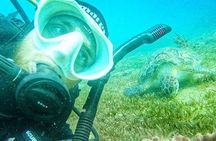 Island Wreck and Reef Scuba Excursion