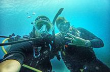 Island Wreck and Reef Scuba Excursion
