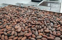 Chocolatier for a day in Modica, raw chocolate BeanToBar