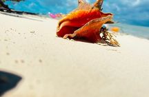 4HR Private Half-day Boat in Gracebay 