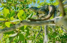 4HR Private Half-day Boat in Gracebay 