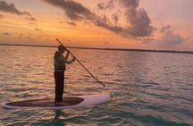 Private Paddleboard Experience in Bacalar