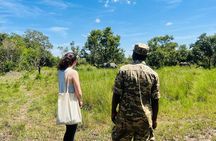 Day Tour Of Ziwa Rhino Sanctuary and Wildlife Ranch - ZIWA RHINO TREKKING