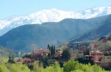 Scenic Wonders: Ourika Valley & Waterfalls Adventure