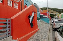 Cape Town City Sightseeing and Table Mountain Day Tour