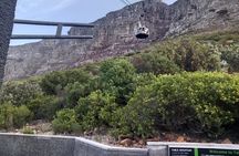 Day Tour to Table Mountain , Cape of Good Hope & Penguins