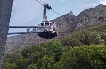 Cape Town Tour with Table Mountain Aquarium and Robben Island