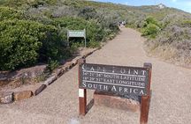 Private Excursion Cape of Good Hope and Penguins Tour