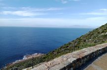 Full day Tour Cape Point and Good Hope with Penguins