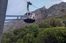 Day Tour to Table Mountain , Cape of Good Hope & Penguin