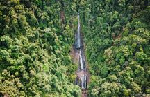 Amazing Daintree Rainforest Tour Waterfall Hike, Lunch, Swim & Crocodile Cruise