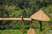 Ubud Half Day Zipline and Jungle Swing