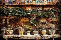  Arts and Snacks Walking Tour with Taste of San Miguel