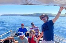 Boat Tour of Kinsale Harbour and Bandon River