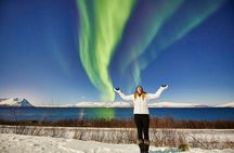Tromso: Private Aurora Chase by Minivan