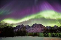 Tromso: Private Aurora Chase by Minivan