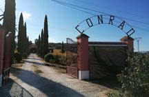 Conrad Guided Cellar Tour and wine tasting in Ronda