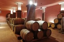 Conrad Guided Cellar Tour and wine tasting in Ronda