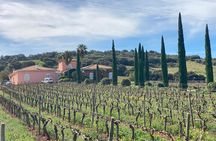 Conrad Guided Cellar Tour and wine tasting in Ronda