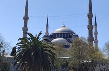Local Tour with Guide Taha