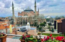Local Tour with Guide Taha