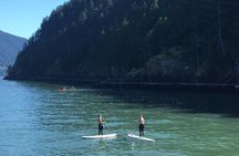 Morning Kayak & Seal Cruise