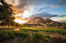 Full-Day Franschhoek Wine Tour from Cape Town