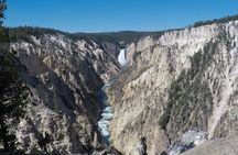 Yellowstone Full Day Private Tour Starting from Jackson Hole