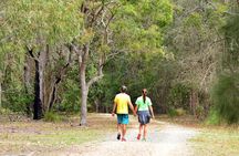 Kangaroos and Mountain Views Day Tour from Gold Coast