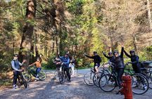 Stanley Park & Vancouver City Highlights 4 Hour Bike Tour 2 in 1