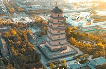 Terracotta Warriors and Xi'an City Highlights 2 Days Tour