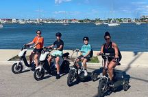 Naples Florida Guided Electric Mix and Match Tour - Family Fun