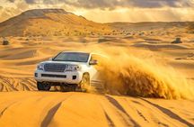 City Tour and Desert Safari with Camel Ride and Sand Boarding