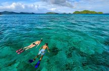 Da Nang: Son Tra Peninsula Exploration - Snorkeling, Fishing