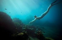 Da Nang: Son Tra Peninsula Exploration - Snorkeling, Fishing