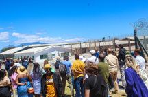 Half Day Experience in Robben Island Museum From Cape Town