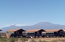 Full Day Tour in Amboseli National Park from Nairobi