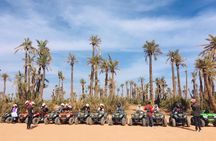Quad Biking Experience