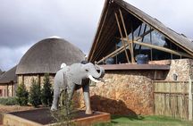 Aquila Safari Game Drive Lunch & Transfers from Cape Town