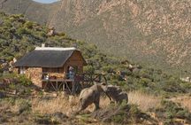Safari Game Drive, Lunch & Transfers from Cape Town