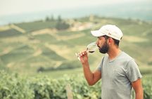 Private Burgundy Half Day Wine Tour by Vintage Land Rover