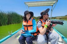 Birdwatching at la Punta with local food + Airport Pick up