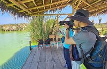Birdwatching at la Punta with local food + Airport Pick up
